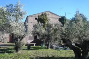 Casa Rural Masía Barbera