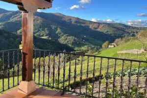 Casa Rural Perugorria Berria