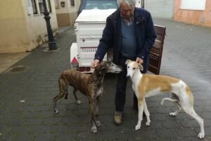 Casa Rural &ldquo;Rubio&rdquo;.