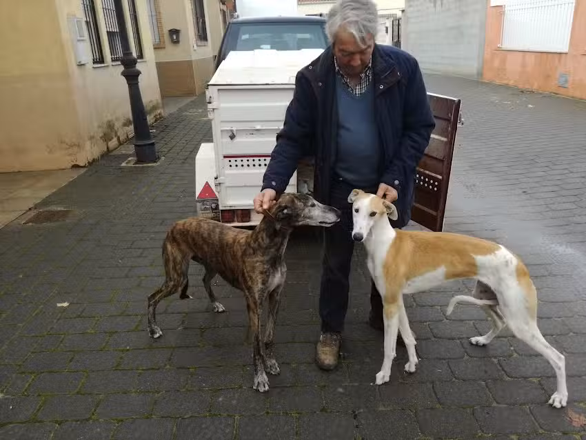 Casa Rural &ldquo;Rubio&rdquo;.