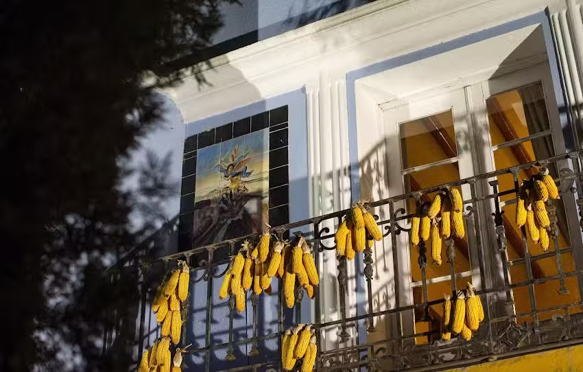 Casa rural Valle del Piedra Granja de Llumes