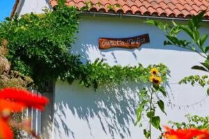 Casa SanAndo (Treat & ReTreat Center) Medicina Integrativa Dra Caetana Varela-Hall