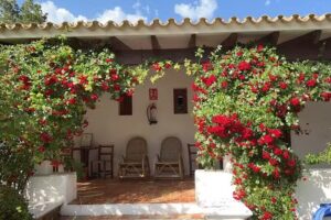 Casa Trini Formentera