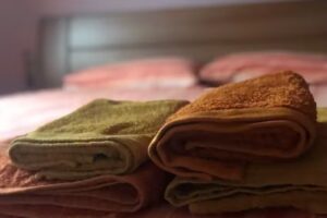 Casanova de Roca de Codines