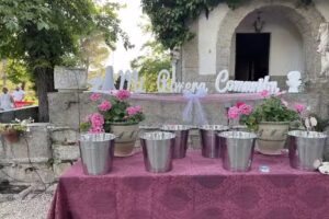 Casas Rurales La Morenita