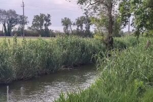 Casilla del Mas d&rsquo;Avall