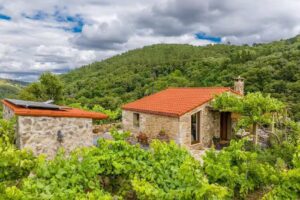 Casi&ntilde;a Ra&iacute;z