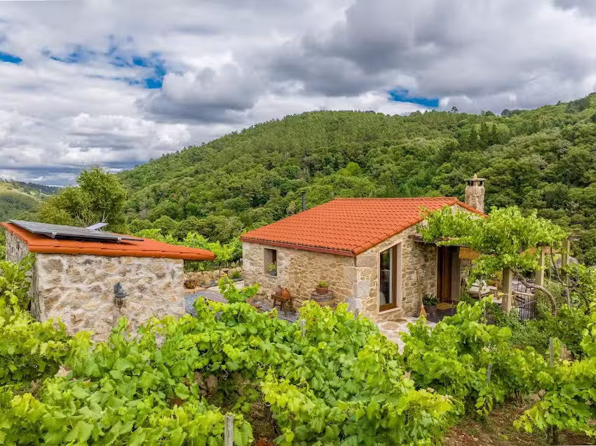 Casi&ntilde;a Ra&iacute;z