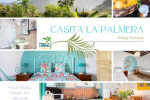 Casita La Palmera