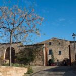 Castell Palau de Torrebesses