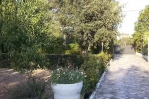 CDAD PROP HOYA DEL JUNCO &ndash; CAMINO VAQUERIZA