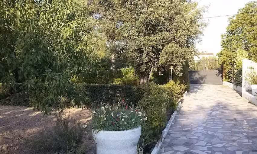 CDAD PROP HOYA DEL JUNCO &ndash; CAMINO VAQUERIZA