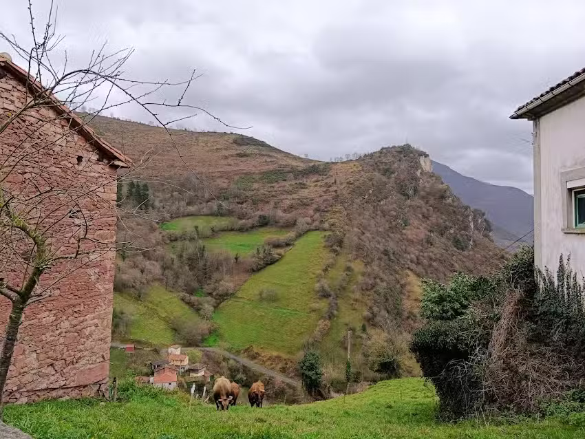 Celis Ca&ntilde;&oacute;n &ndash; Casa Rural