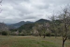Cementerio Municipal de Beas de Segura