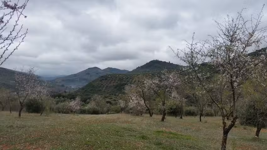 Cementerio Municipal de Beas de Segura