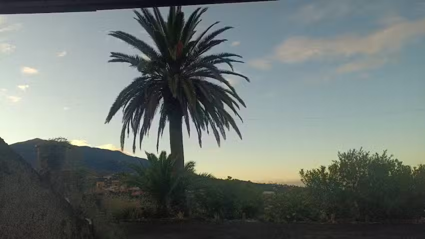 Centro De Atencion A La Discapacidad de Triana