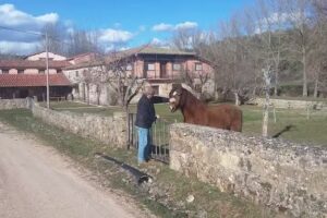 Centro de D&iacute;a Ca&ntilde;&oacute;n del R&iacute;o Lobos