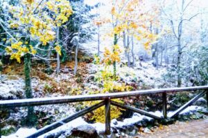 Centro De Turismo Rural Caldás De Luna