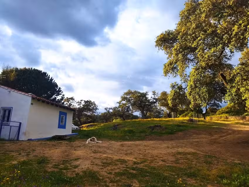 Cerrado