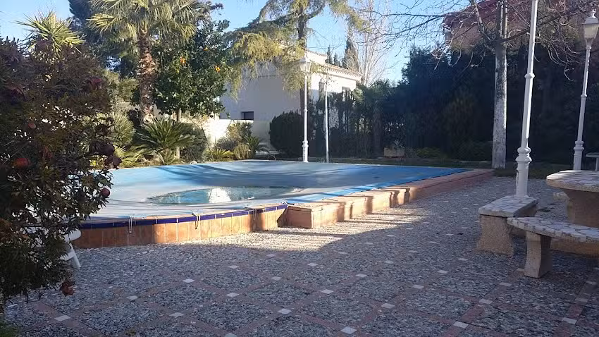 Chal&eacute; El Pino