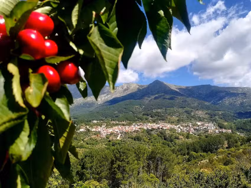 Cherrygredos