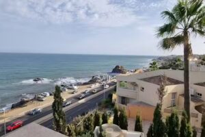 CLC Castillo Del Rey