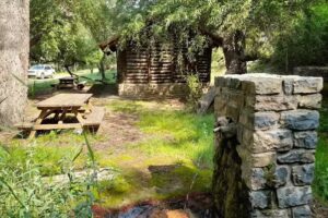 Cobijo forestal Los Mangranos