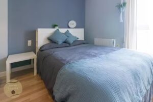 Common Land Center El Ejido