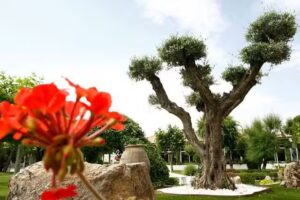 Complejo Par&iacute;s