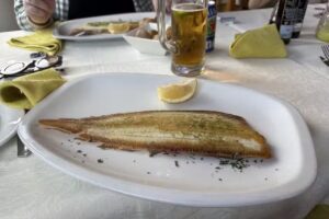 Concanasa 43 Los Gigantes