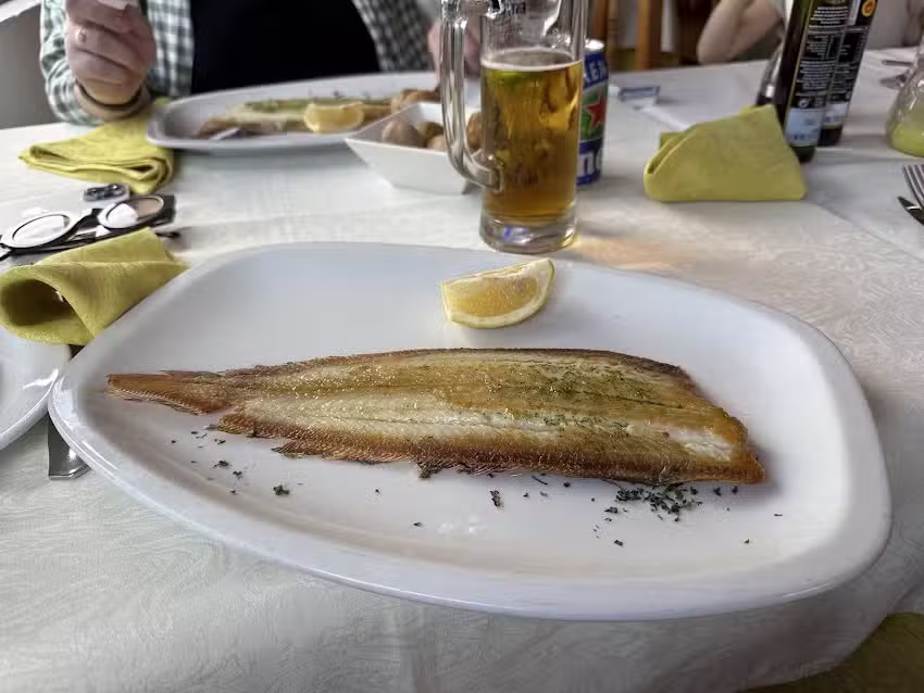 Concanasa 43 Los Gigantes