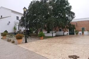 Cortijo Almazara Quintanilla