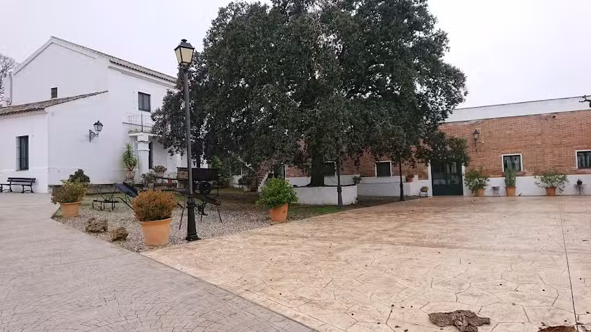 Cortijo Almazara Quintanilla