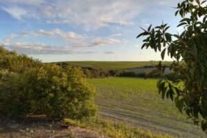 Cortijo Cartuja de Alcántara