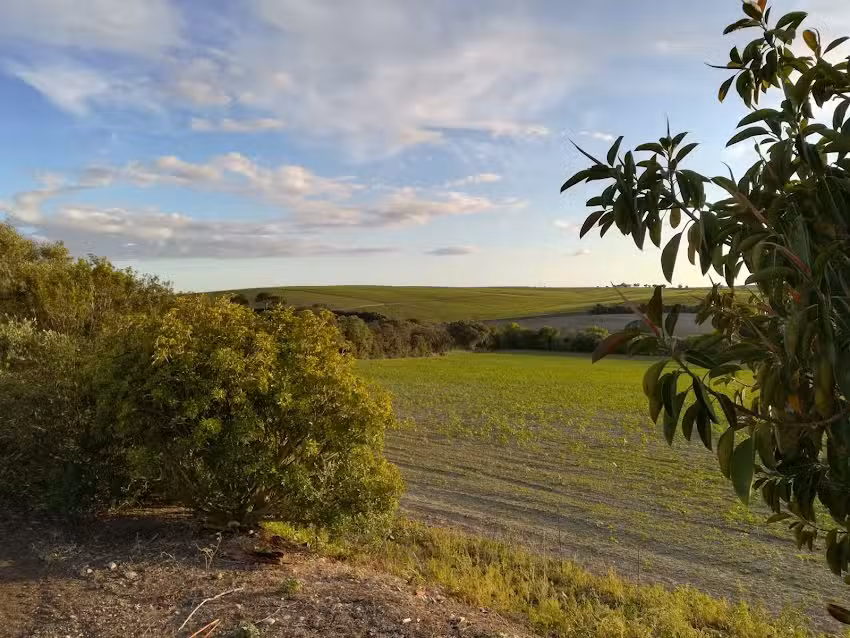 Cortijo Cartuja de Alc&aacute;ntara