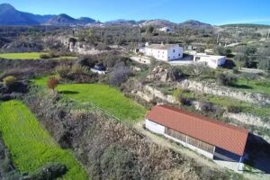 Cortijo Cipr&eacute;s