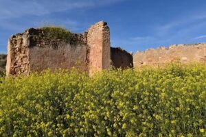 Cortijo de Corbunillo