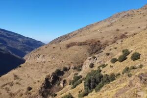 Cortijo de Cueva Molina