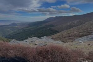 Cortijo de los Bartolos