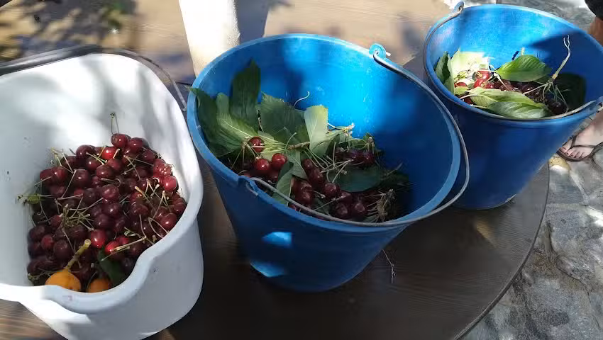 Cortijo Jer&oacute;nimo