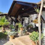 Cortijo La Loma
