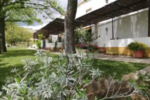 Cortijo rural. El Almendro. Carretera Malaga Campillos km 36.5