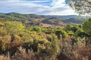 Coto Mina Concepcion