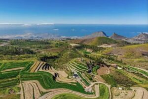 Cueva Los Almendros Vilaflor