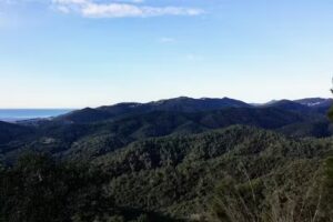 Domo Geodesico Ecoart