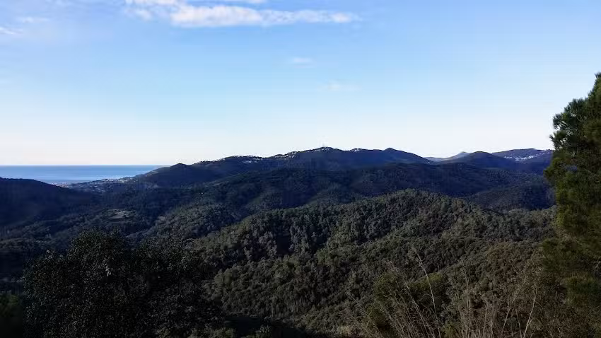 Domo Geodesico Ecoart