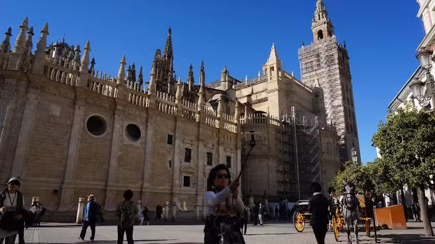 Domocenter Apartamentos Tur&iacute;sticos