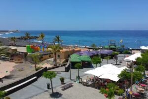 Dracaena Apartamentos