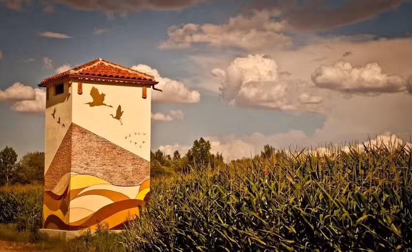 Eco &ndash; Albergue Fundaci&oacute;n Tormes ARTE EMBOSCADO (BOSQUE ENCANTADO)