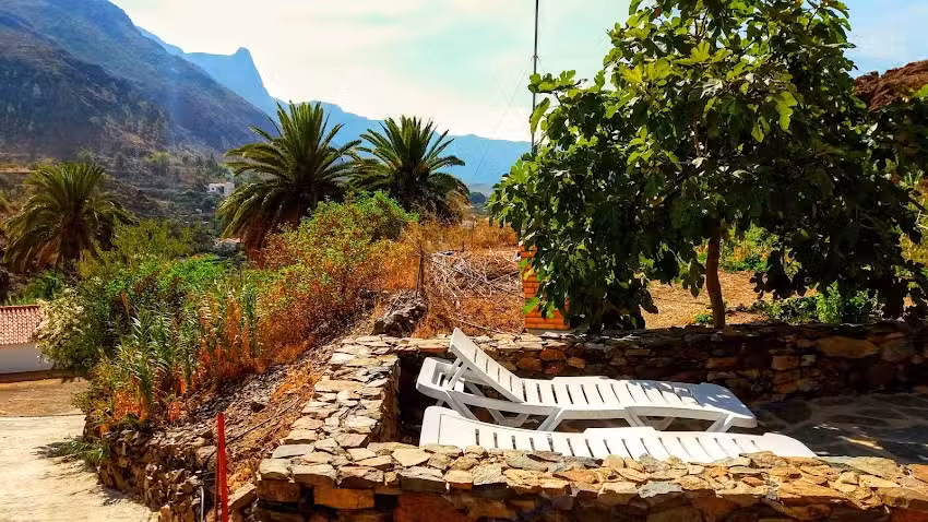 EcoTara Canary Islands